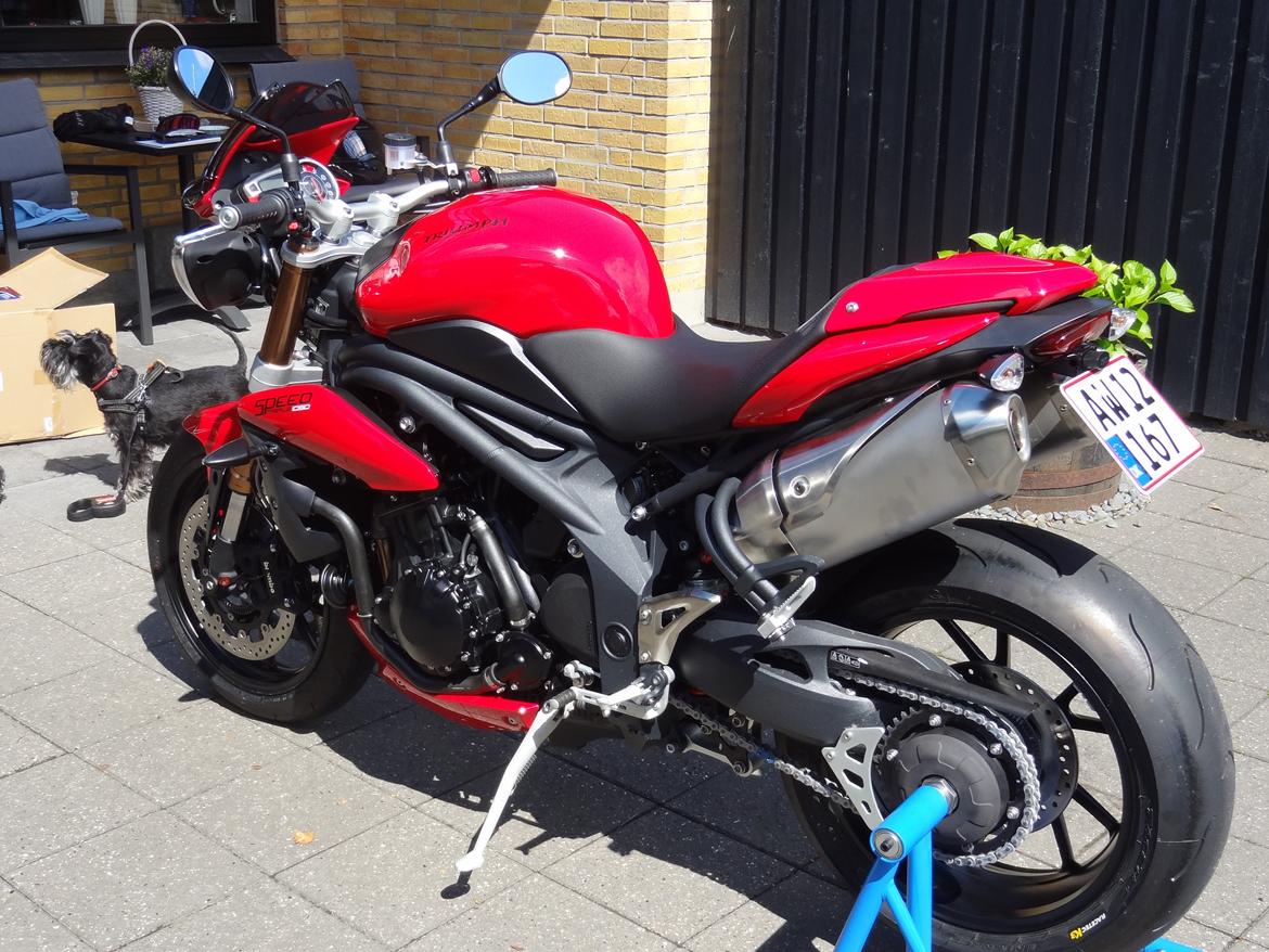 Triumph speed triple 1050 billede 2