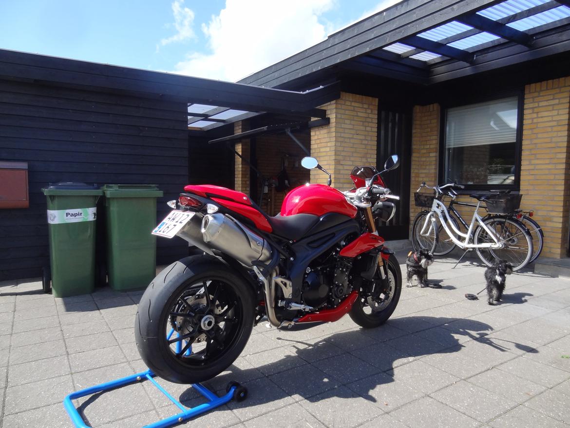 Triumph speed triple 1050 billede 3