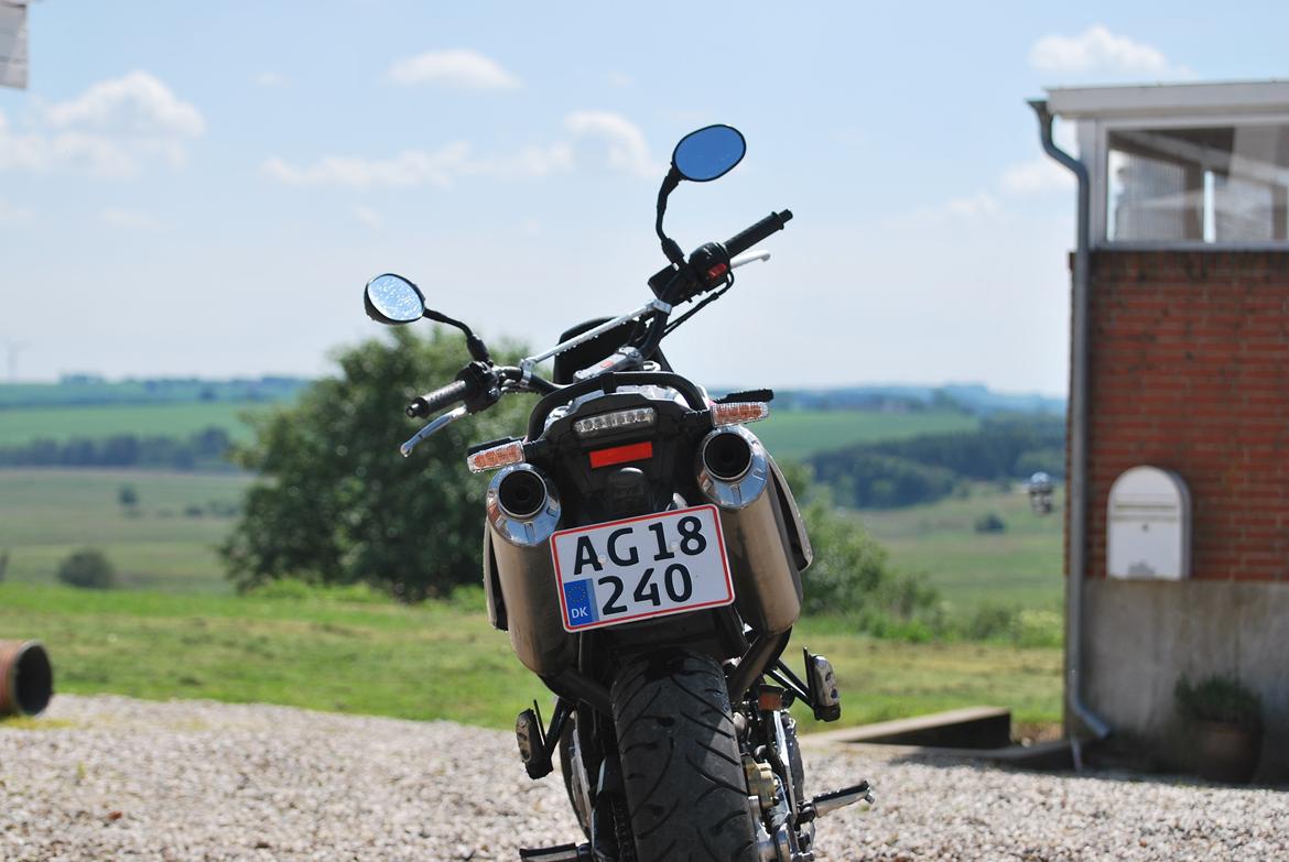 Aprilia pegaso strada 650 billede 5