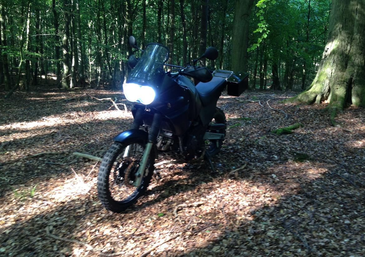 Yamaha XTZ 850 Mette Mols R.I.P billede 13