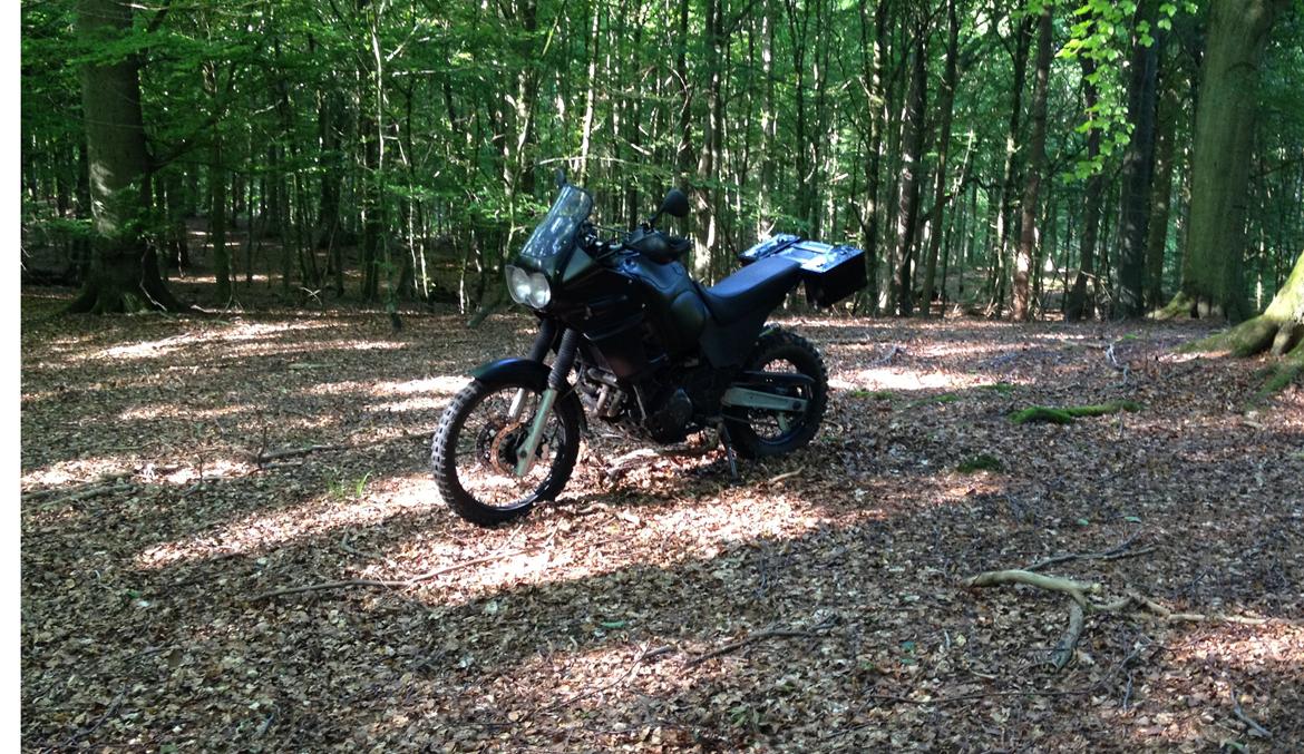 Yamaha XTZ 850 Mette Mols R.I.P billede 14