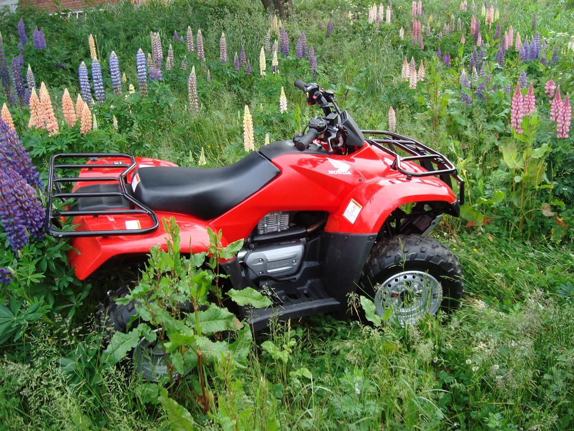 Honda TRX 250TE Recon billede 2