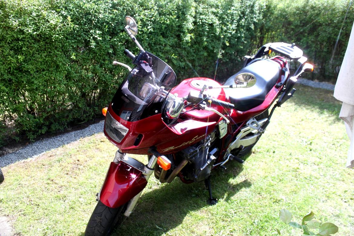 Suzuki Gsf 1200 Bandit billede 2