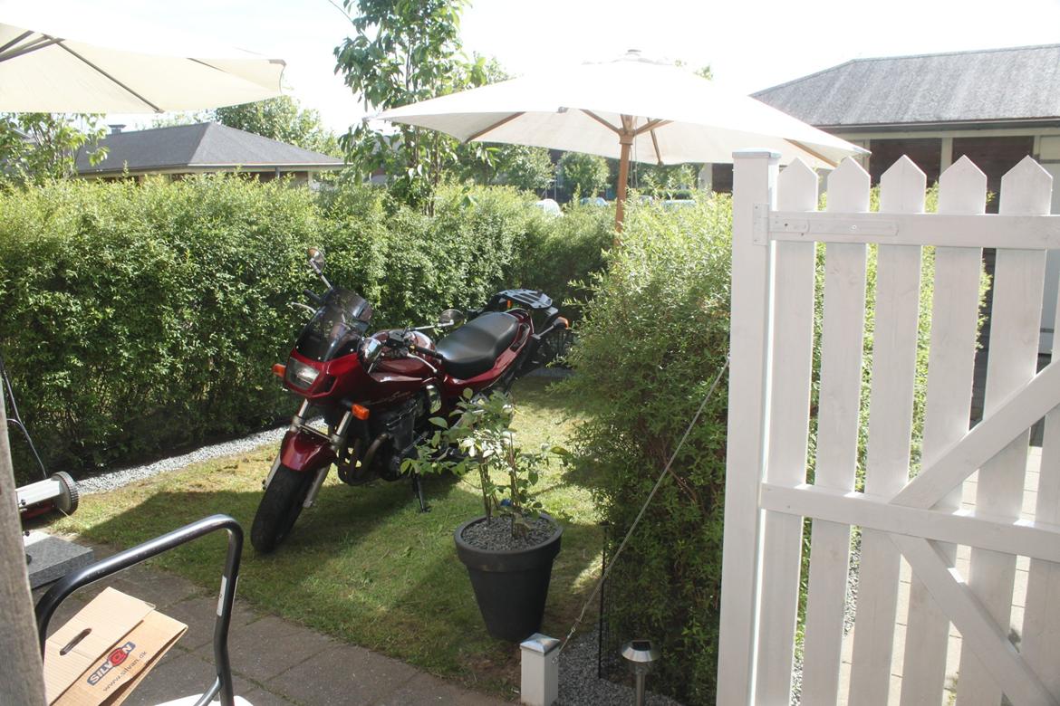 Suzuki Gsf 1200 Bandit billede 15