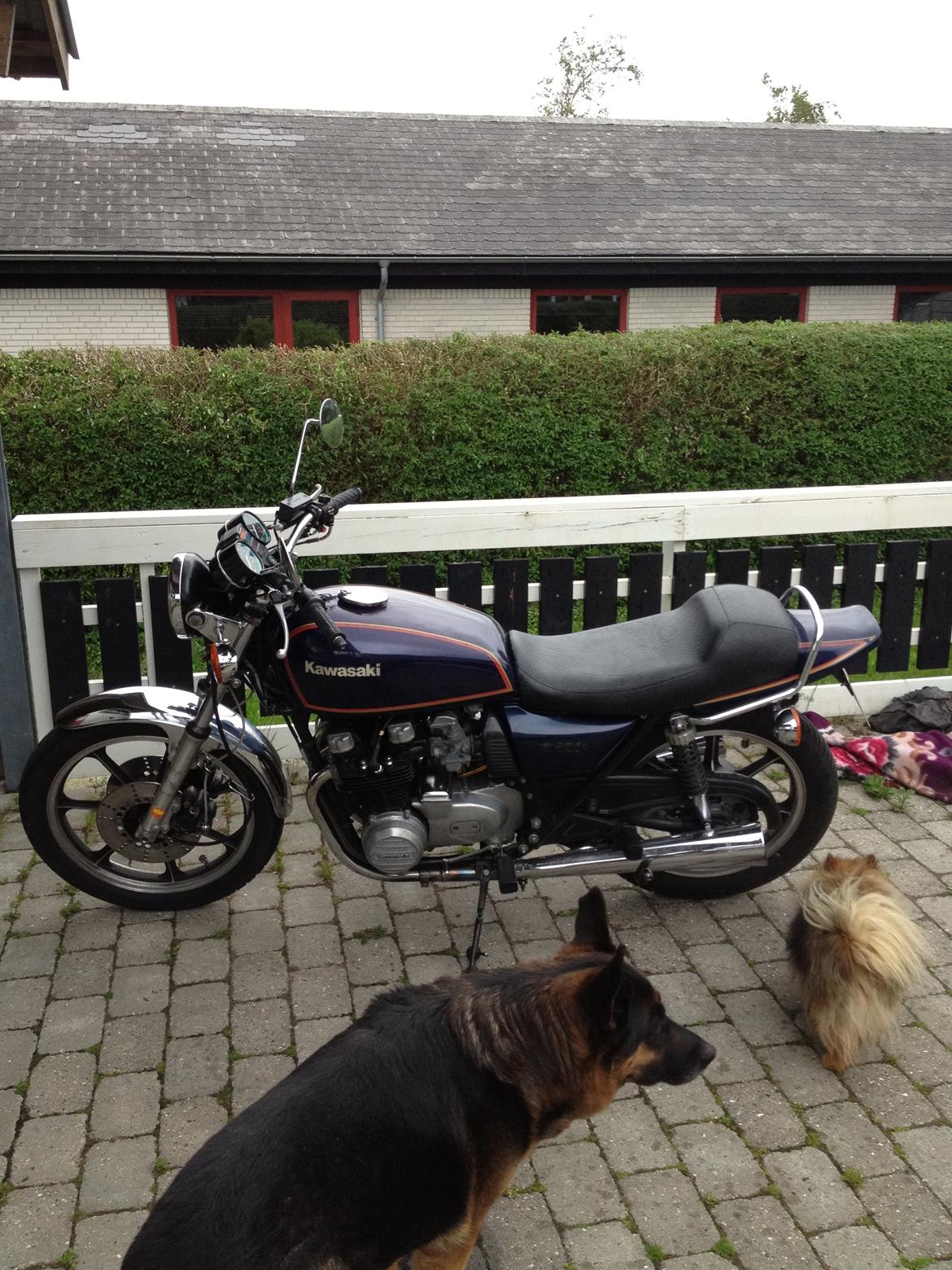 Kawasaki z 650 billede 1