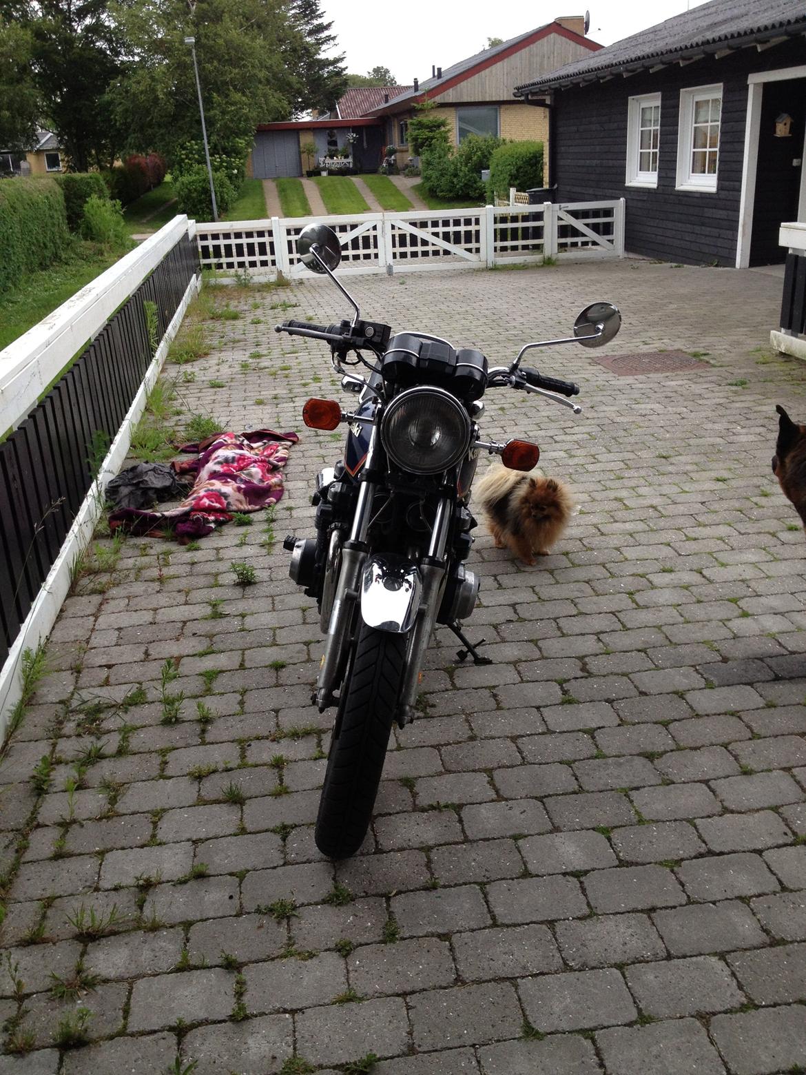 Kawasaki z 650 billede 2