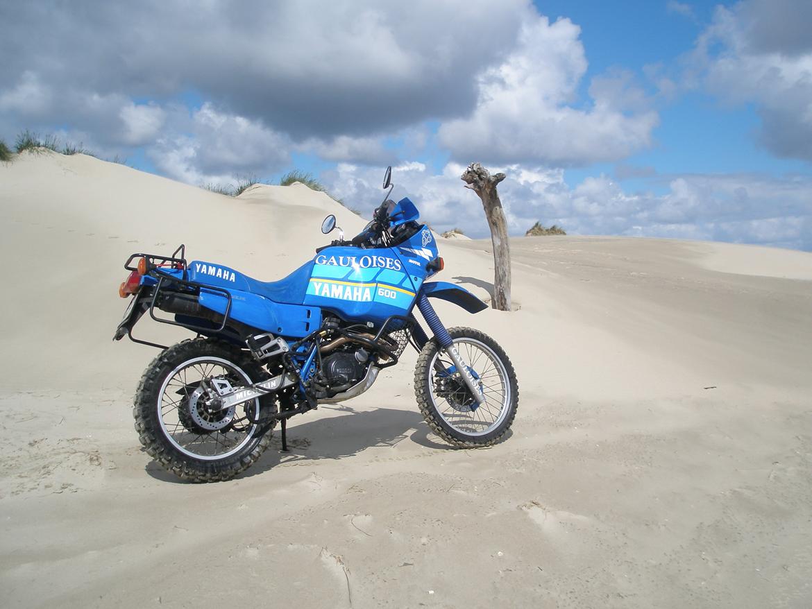 Yamaha XT 600 Z Tenere 3AJ billede 10