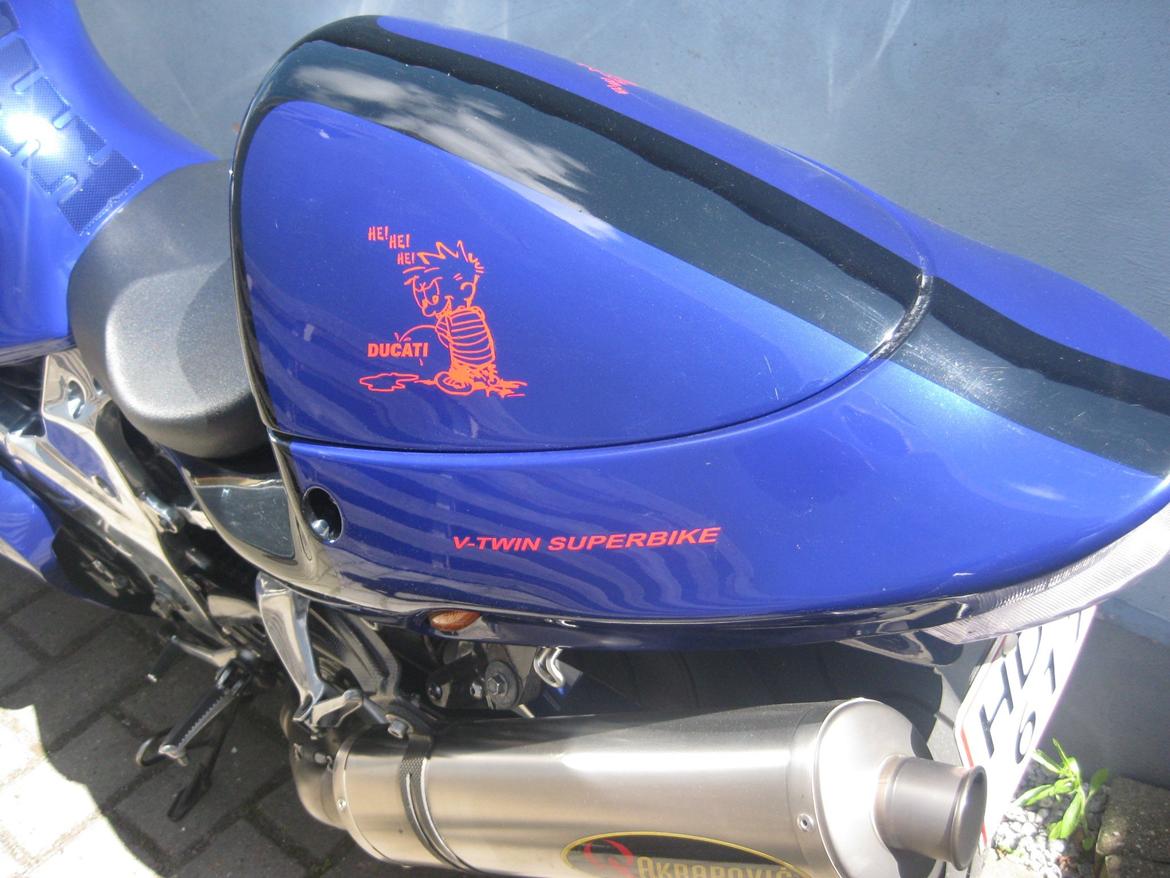 Suzuki TL1000R billede 5