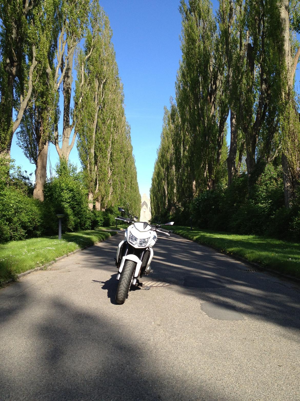 Kawasaki Z750 billede 2