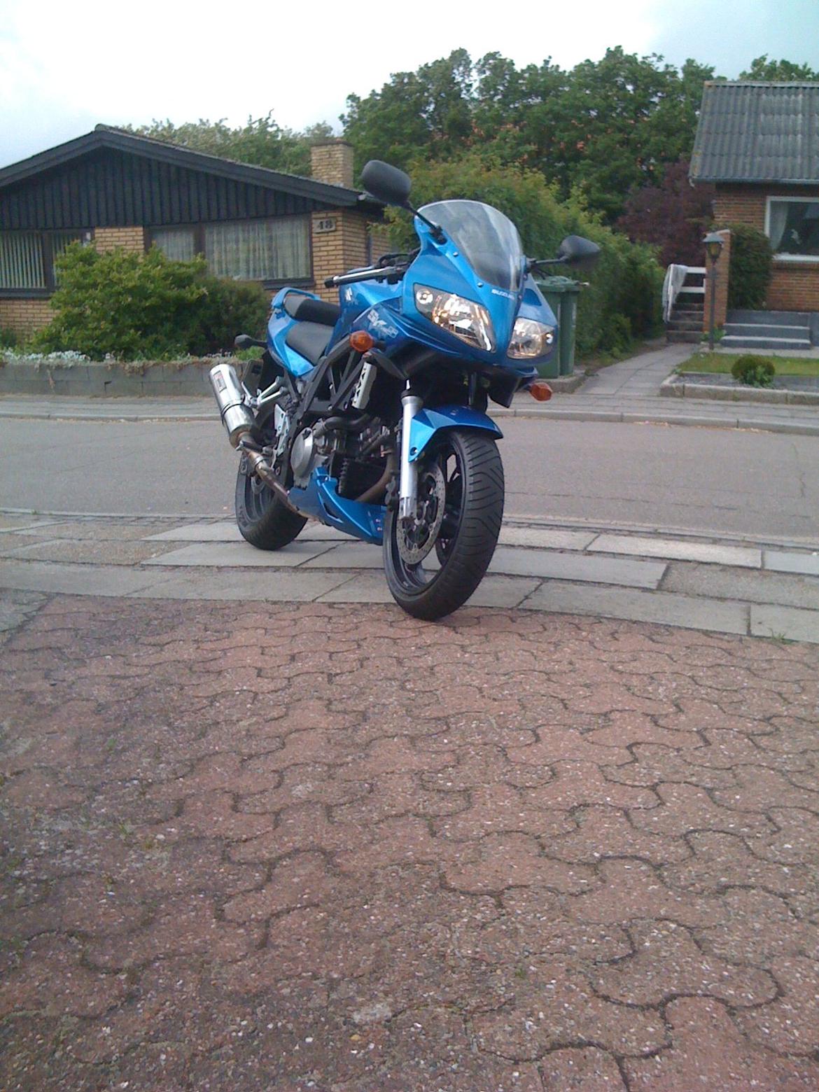 Suzuki SV650 billede 2