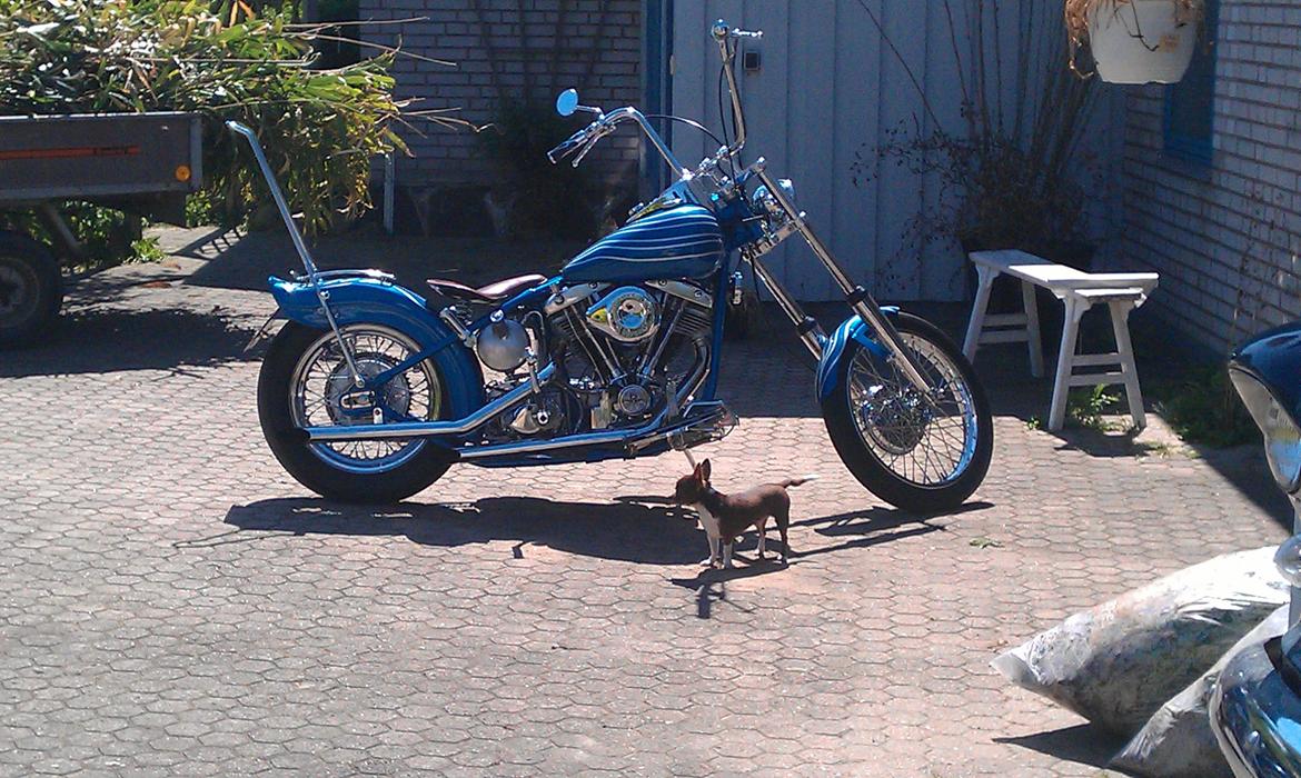 Harley Davidson Panhead billede 7