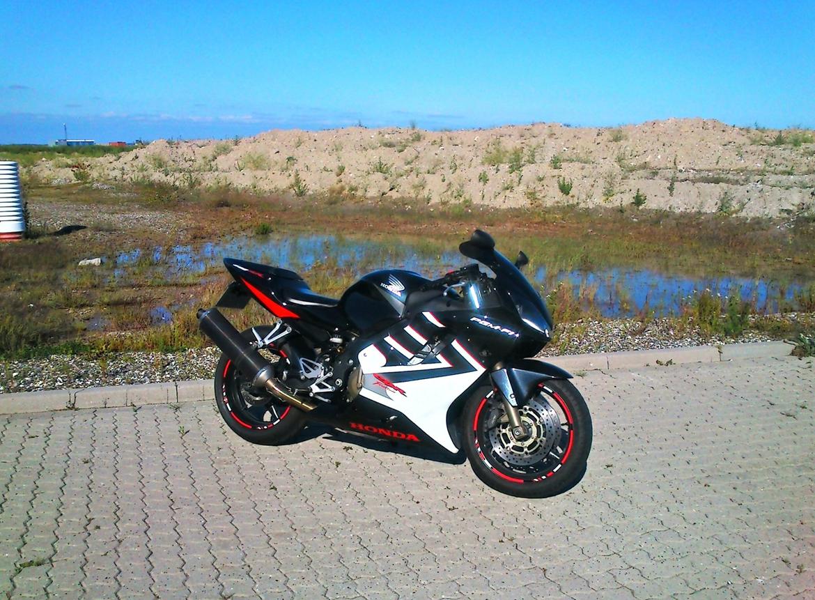 Honda Cbr 600 f4i billede 7