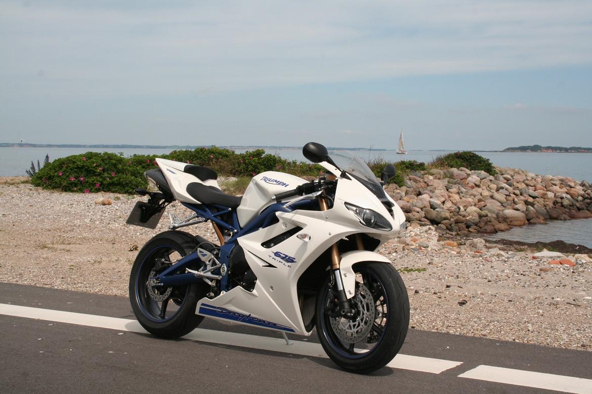 Triumph Daytona 675 SE billede 4