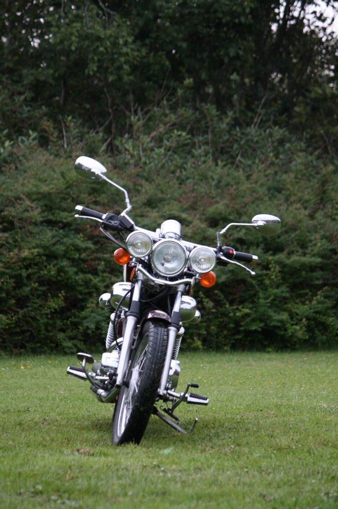 Lifan Vintage 250 billede 5