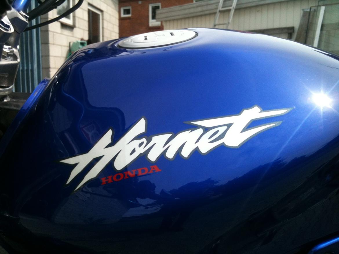 Honda CB 600 Hornet billede 15