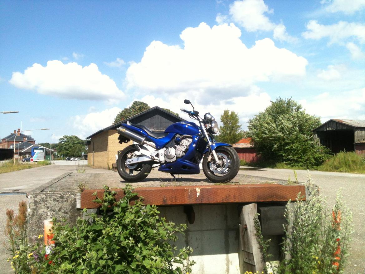 Honda CB 600 Hornet billede 16