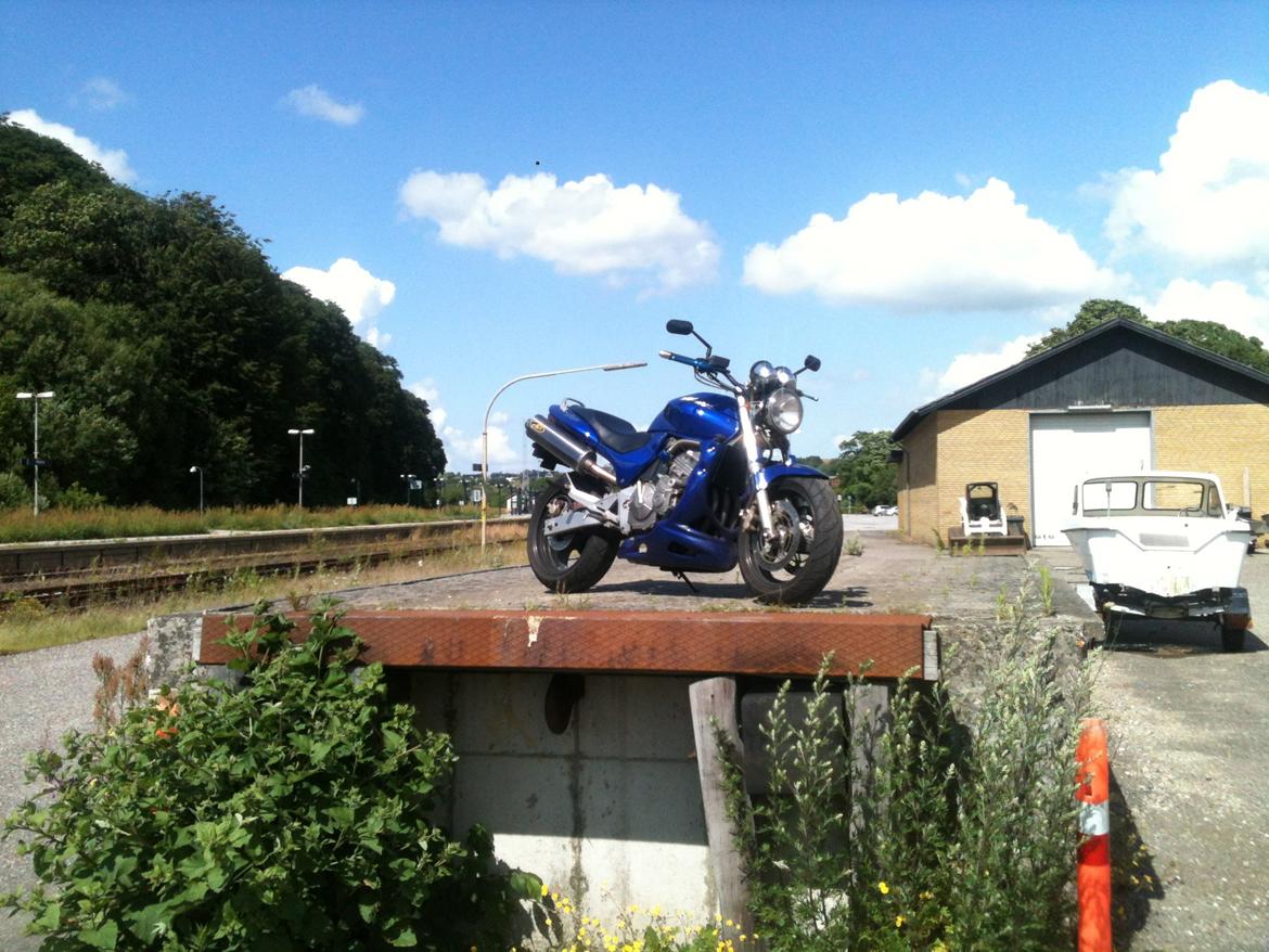 Honda CB 600 Hornet billede 17