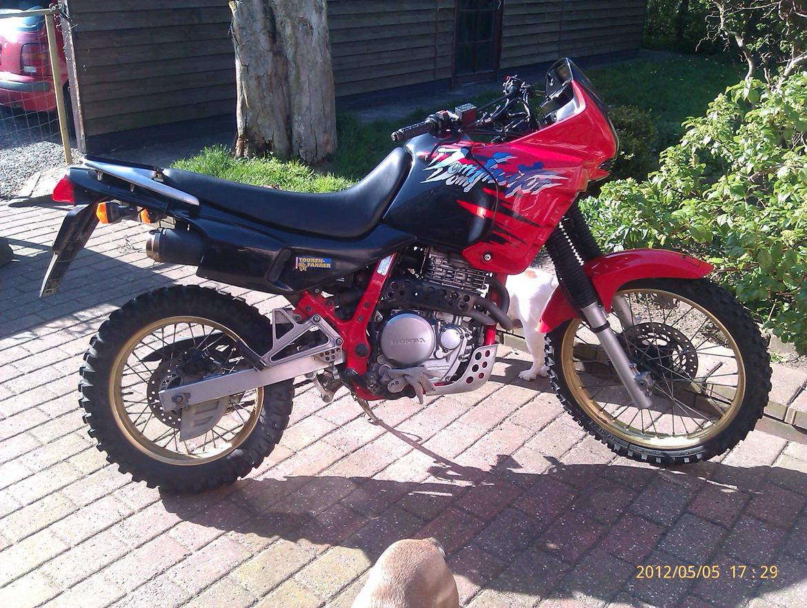 Honda NX650 Dominator billede 1