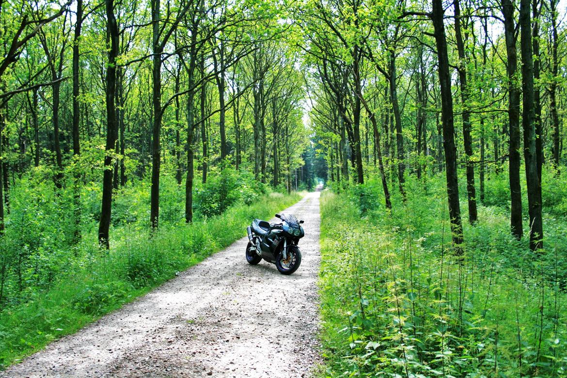 Suzuki GSXR 1100 billede 9