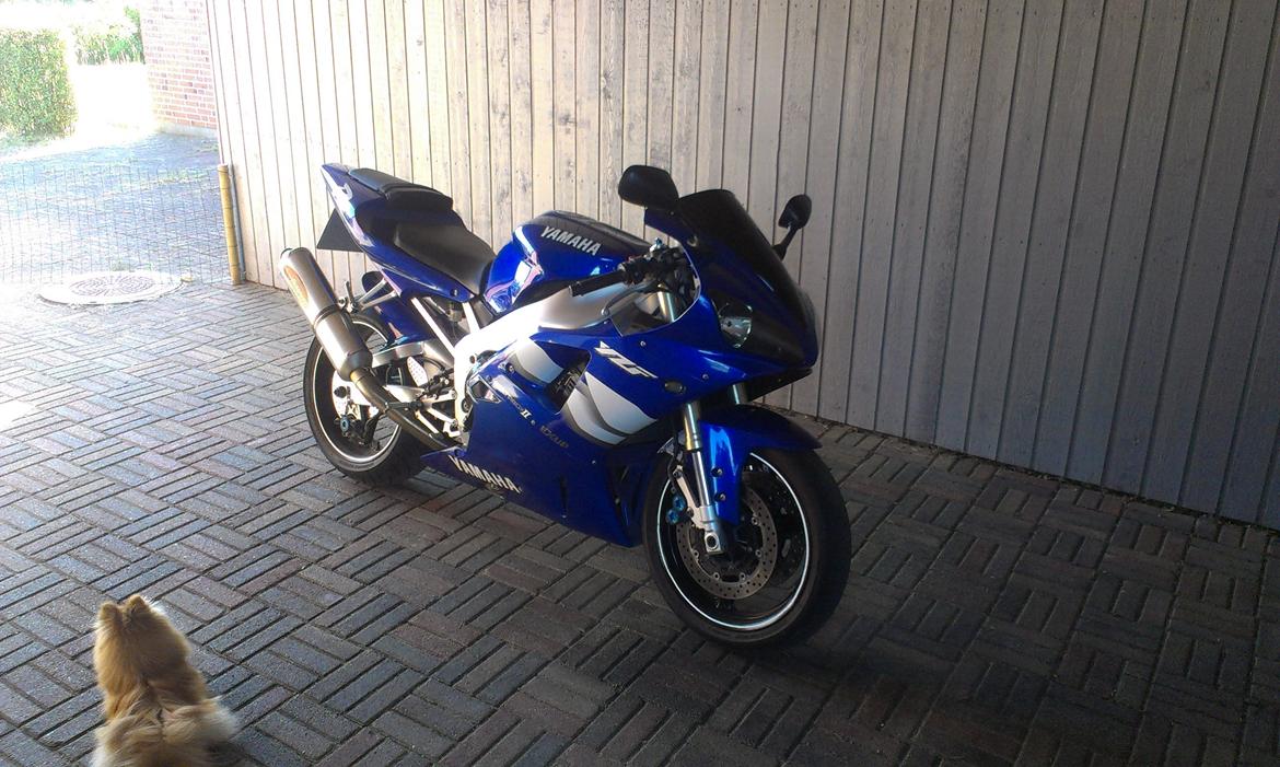 Yamaha YZF-R1 billede 1