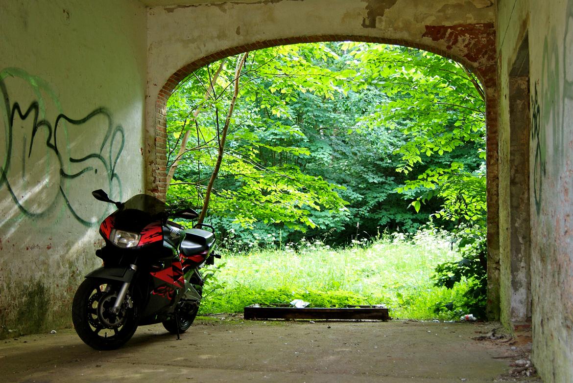 Honda CBR 600 F2  (GIV ET BUD) billede 3