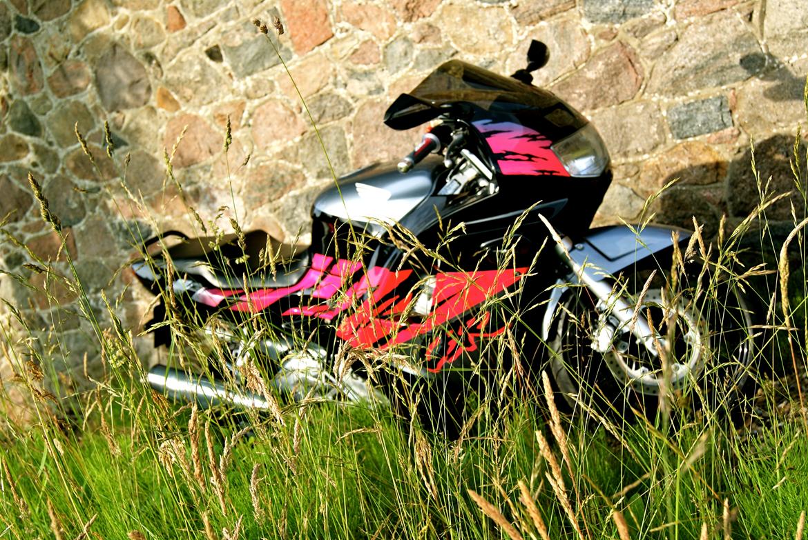 Honda CBR 600 F2  (GIV ET BUD) billede 12