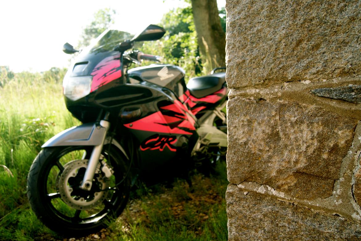 Honda CBR 600 F2  (GIV ET BUD) - Another Brick In the Wall.. ;) billede 7