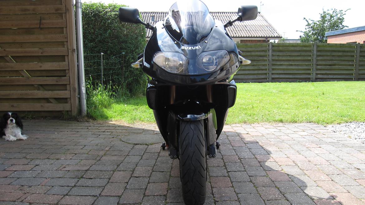 Suzuki TL1000R (Solgt) billede 15