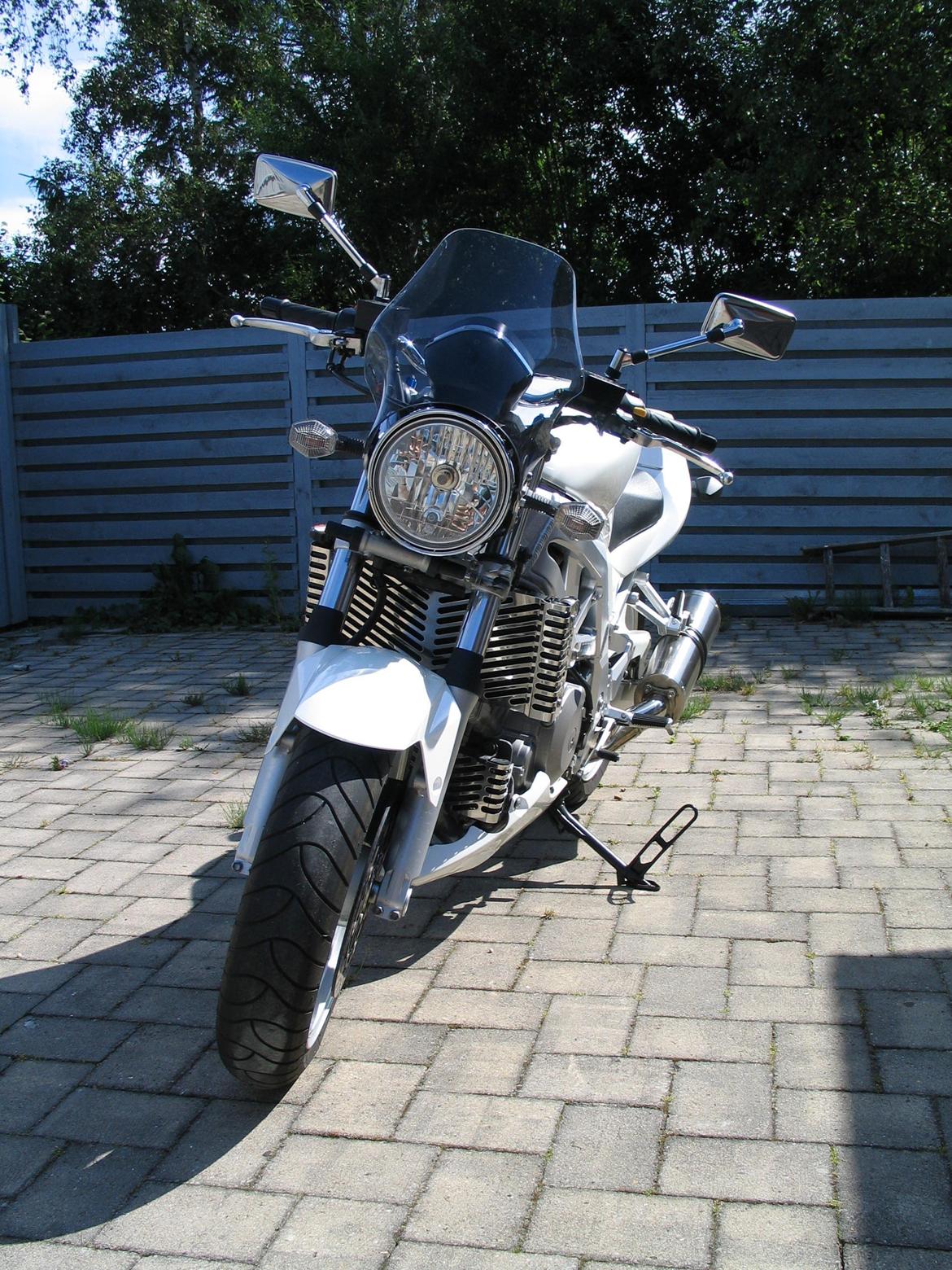 Suzuki SV 1000 N billede 10