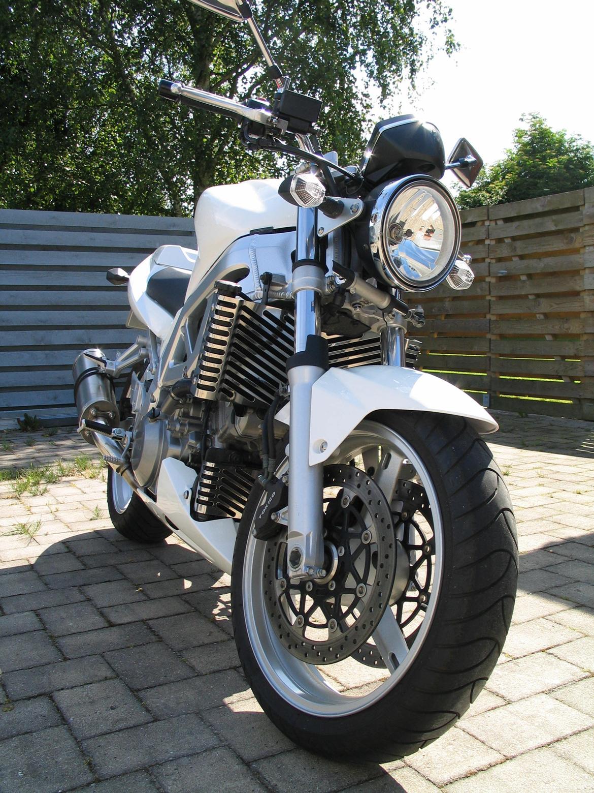 Suzuki SV 1000 N billede 20