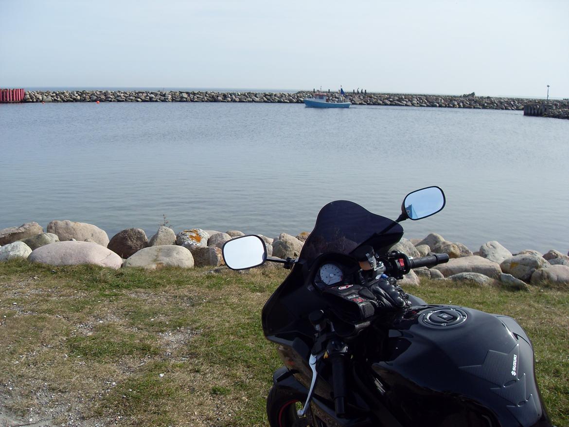 Suzuki SV1000S billede 3