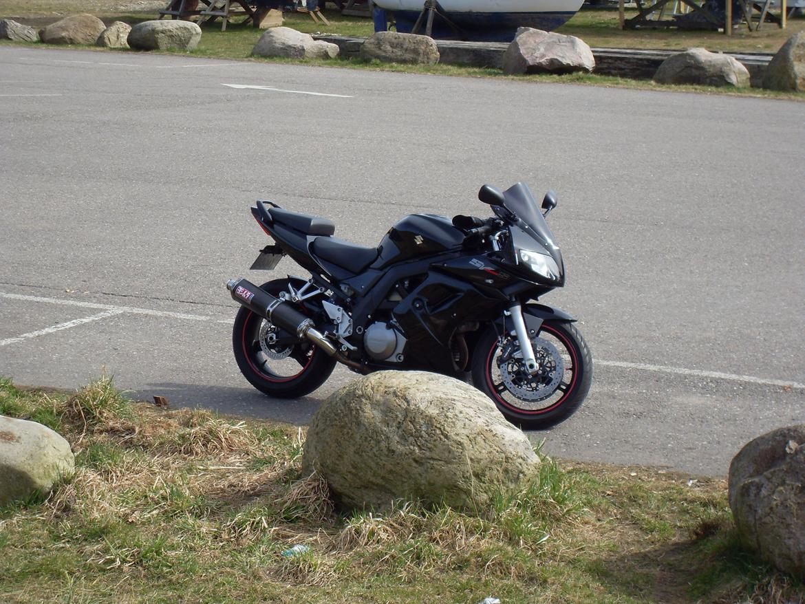 Suzuki SV1000S billede 4