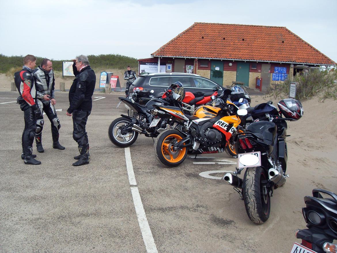 Suzuki SV1000S billede 12