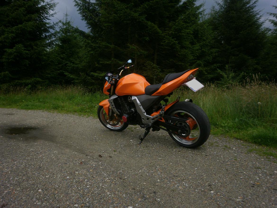 Kawasaki Z1000 billede 13