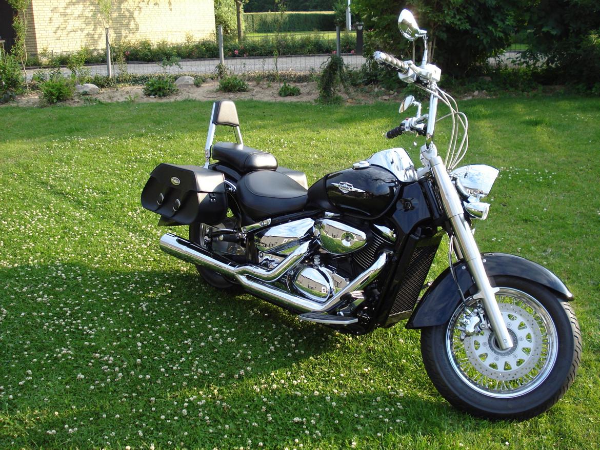 Suzuki VL 800 billede 1