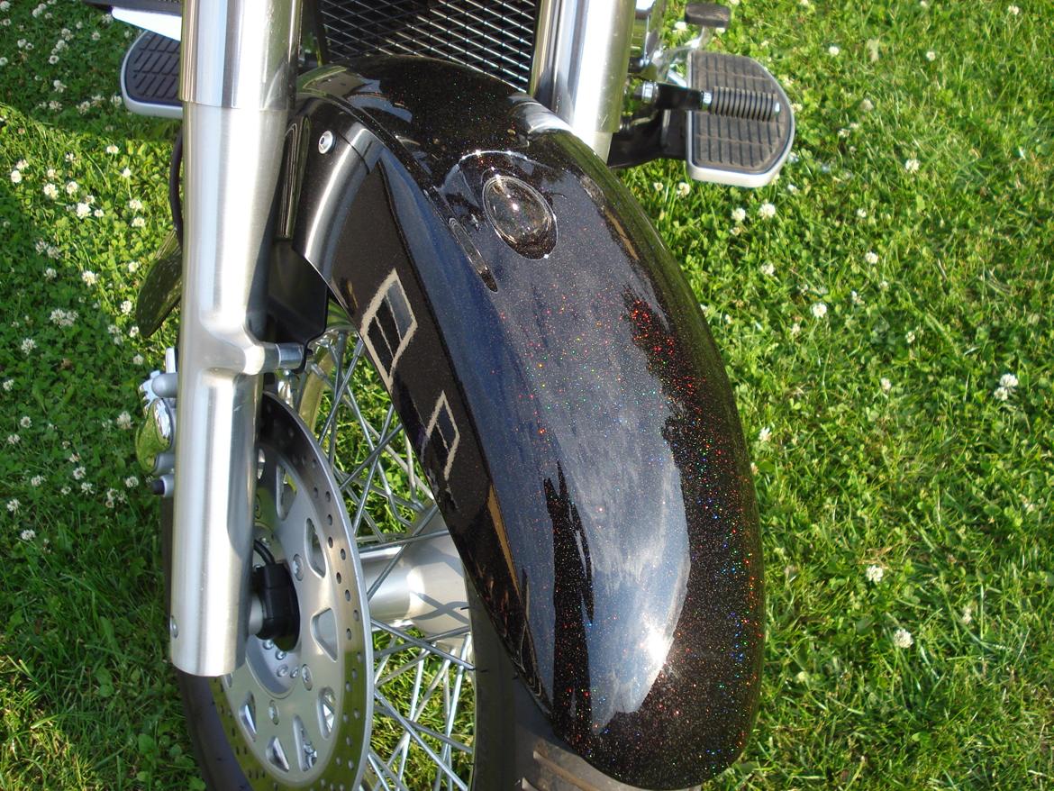 Suzuki VL 800 billede 2