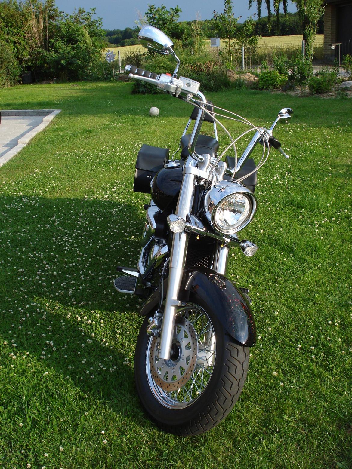 Suzuki VL 800 billede 3