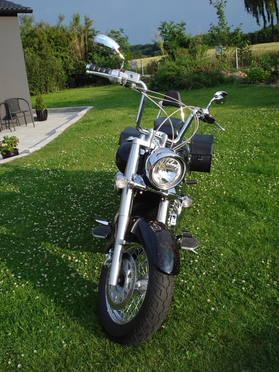 Suzuki VL 800 billede 8