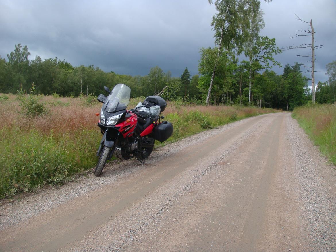 Suzuki DL 650 V-Strom billede 17