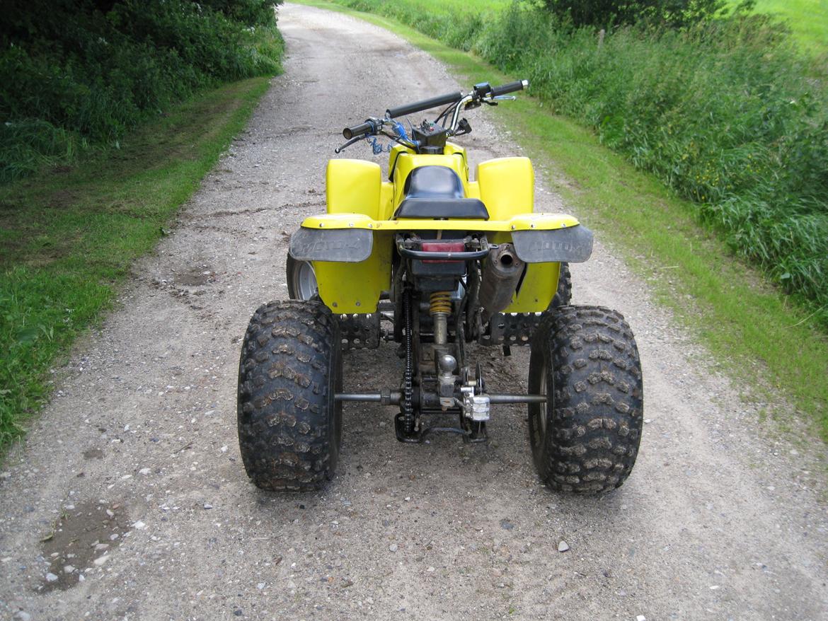 Suzuki Atv 300cc billede 4