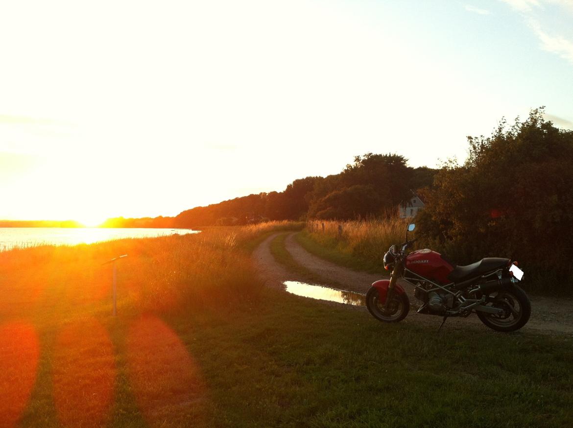 Ducati Monster billede 4