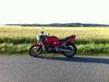 Suzuki GSF 400 Bandit