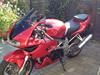 Suzuki TL1000S