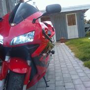 Honda cbr 600 rr