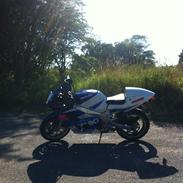 Suzuki Gsxr