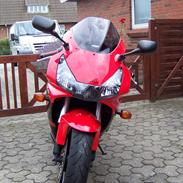 Honda Cbr 954