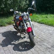 Dorton XT 250