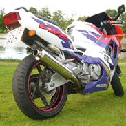Honda CBR 600 F3