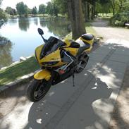 Yamaha YZF R6 Special Edition
