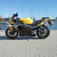 Yamaha YZF R6 Special Edition